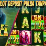 Situs Judi Slot Deposit Pulsa Tanpa Potongan Resmi dan Terpercaya Jungle Gorilla